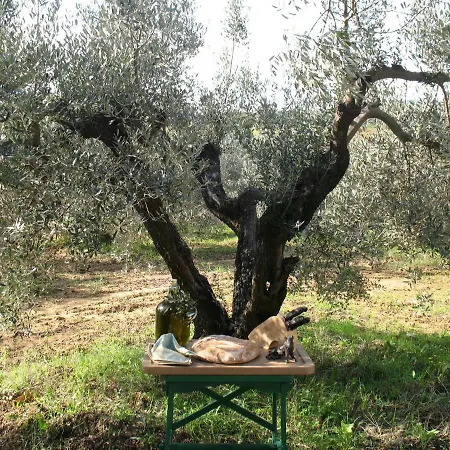 Country house Le Cerbonche *